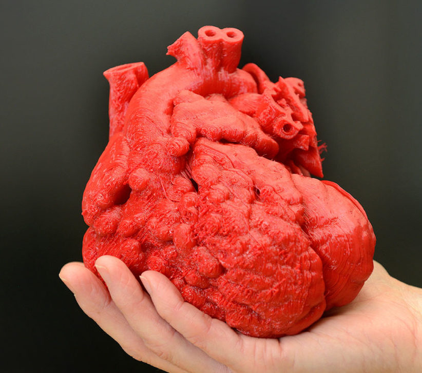 3d Printed Heart